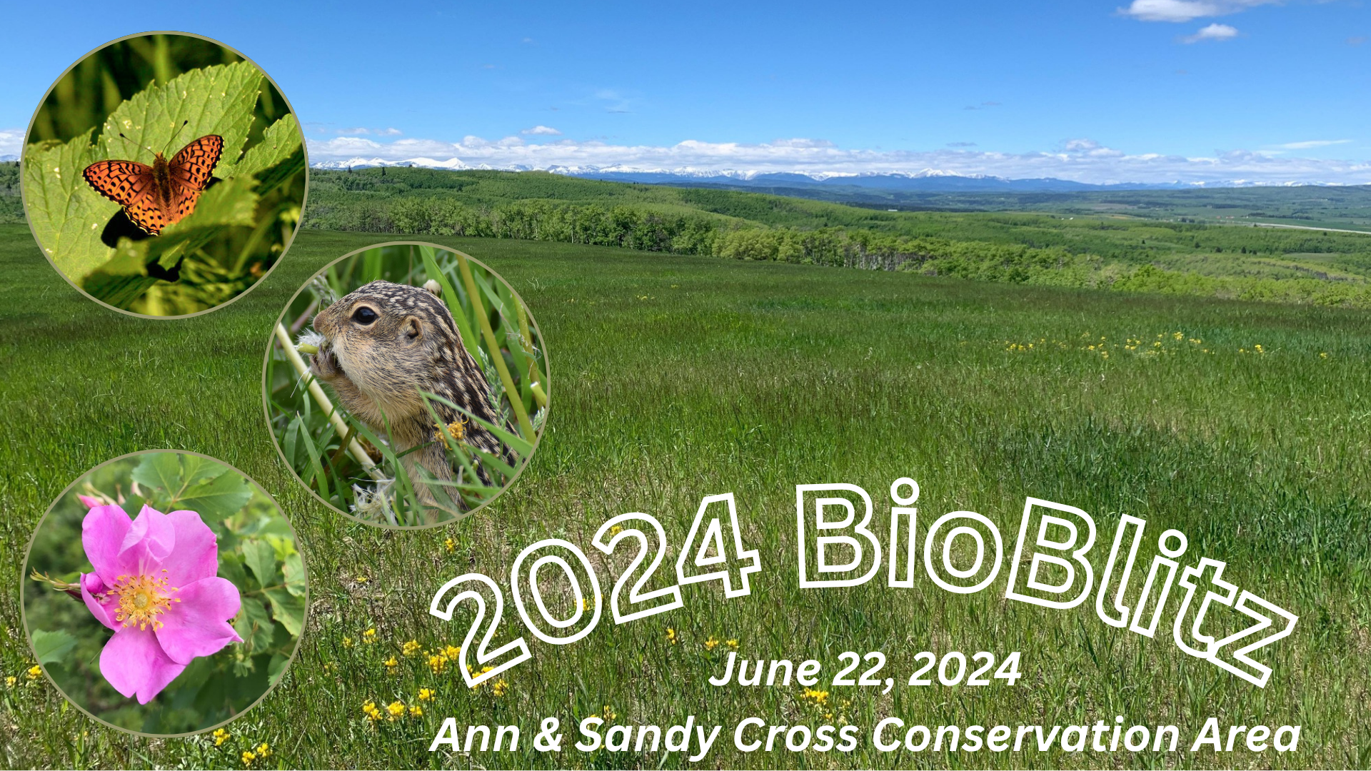 2024 BioBlitz